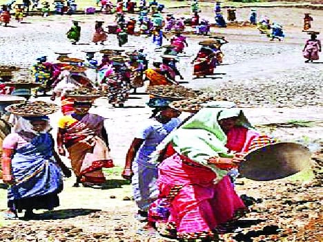 MANREGA-no work in 373 villages